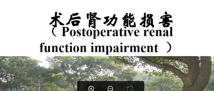 术后肾功能损害.ppt