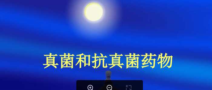 真菌和抗真菌药物.ppt