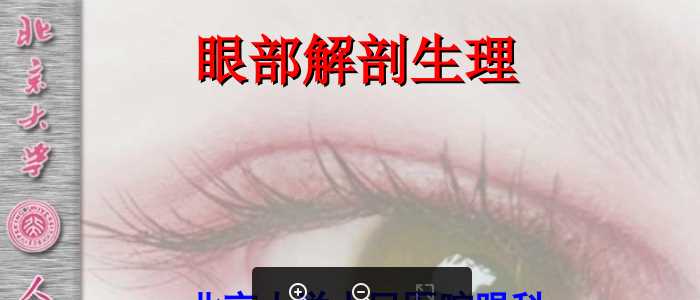 眼部解剖生理.ppt