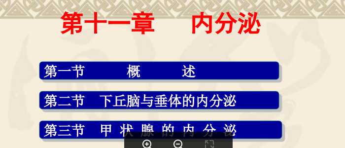 南华大学医学院生理学11内分泌.ppt