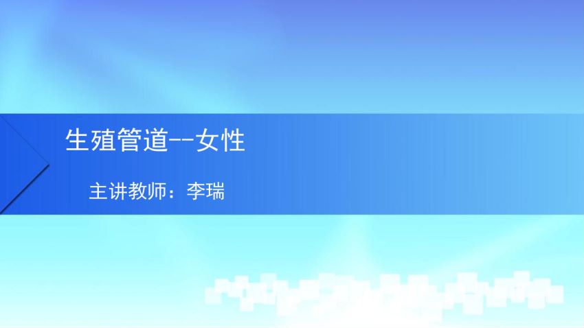 人体解剖学(5.8.1)--第八讲：女性输送管道