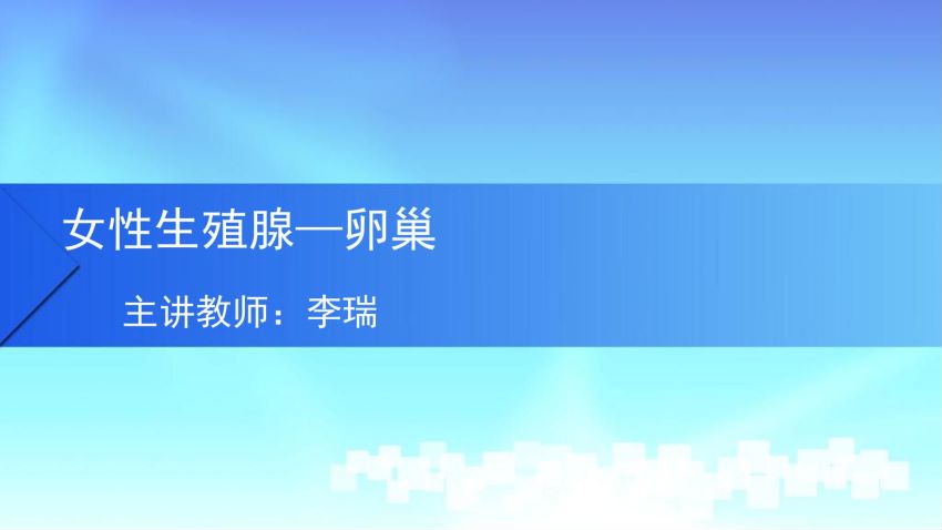 人体解剖学(5.7.1)--第七讲：卵巢-中国医科