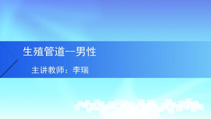 人体解剖学(5.6.1)--第六讲：输精管道-中国