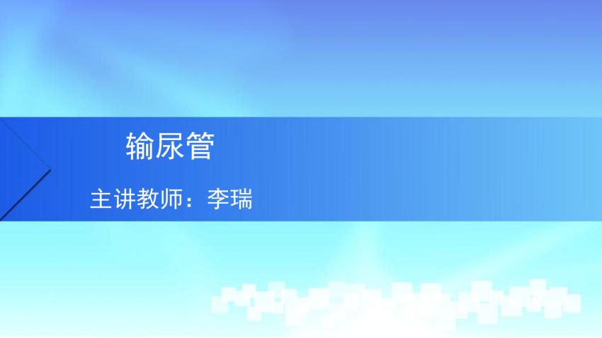 人体解剖学(5.2.1)--第二讲:输尿管-中国医科大学.pdf