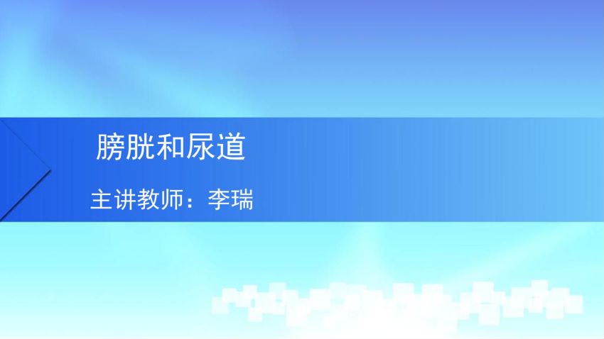人体解剖学(5.3.1)--第三讲:膀胱与尿道-中国医科大学.pdf