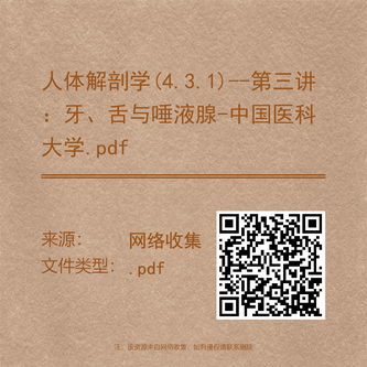 人体解剖学(4.3.1)--第三讲:牙、舌与唾液腺-中国医科大学.pdf