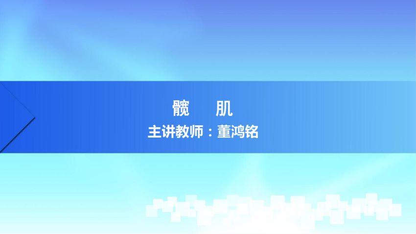 人体解剖学(3.14.1)--第十四讲:髋肌-中国医科大学.pdf