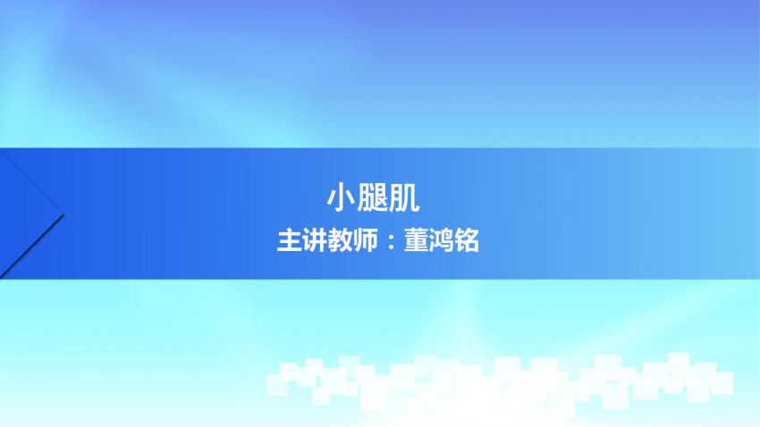 人体解剖学(3.16.1)--第十六讲:小腿肌-中国医科大学.pdf