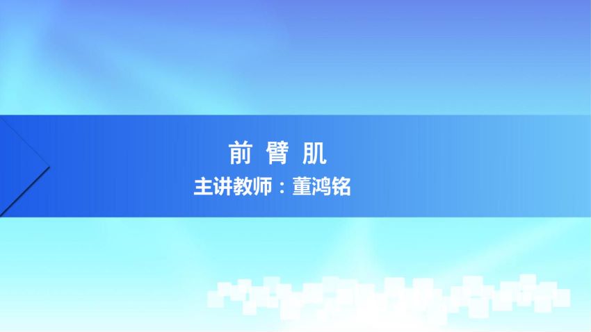 人体解剖学(3.12.1)--第十二讲:前臂肌-中国医科大学.pdf