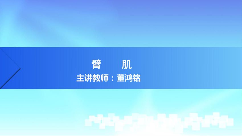 人体解剖学(3.11.1)--第十一讲：臂肌-中国医科大学.pdf