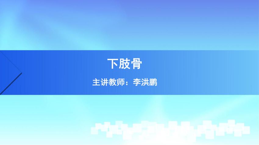 人体解剖学(1.8.1)--第八讲:下肢骨-中国医科大学.pdf