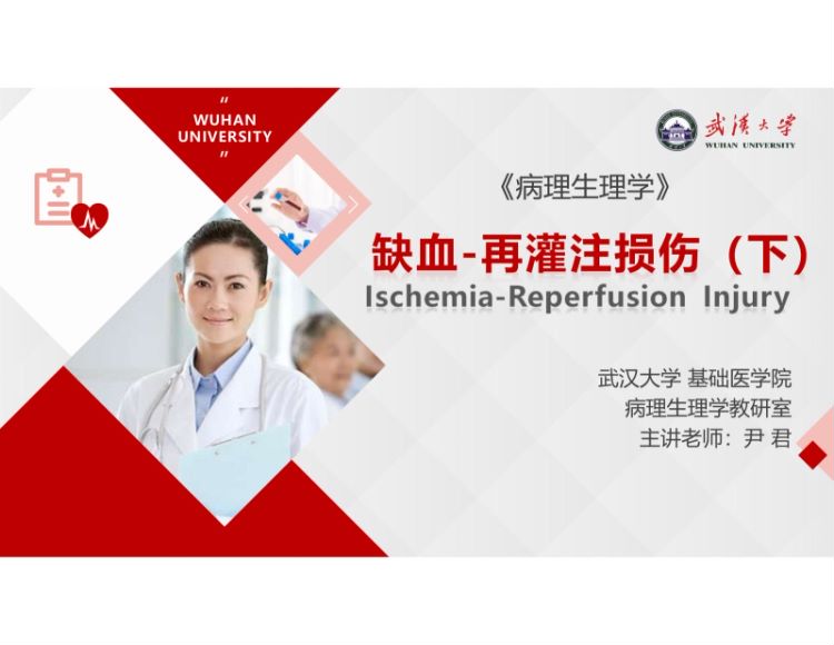 病理生理学(7.1.1)--缺血-再灌注损伤（下）PPT-武汉大学.pdf