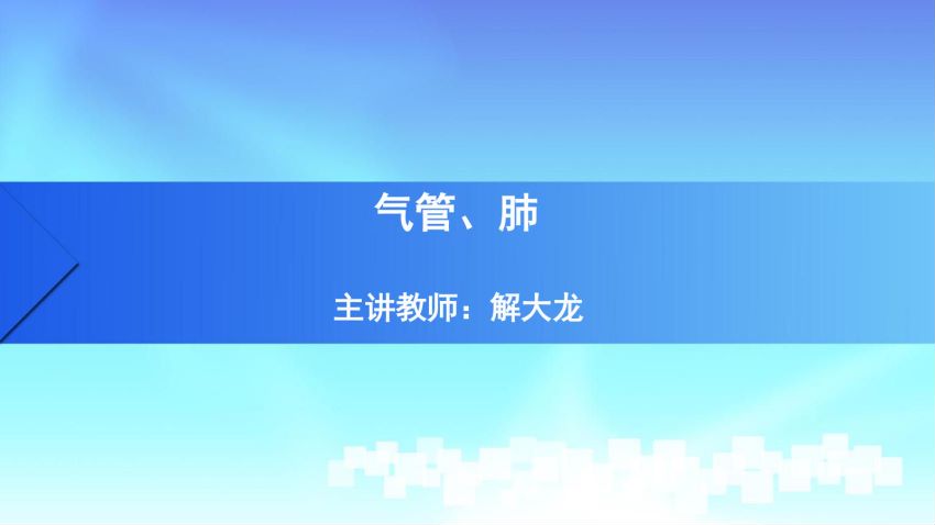人体解剖学(4.12.1)--第十二讲：气管与肺-中国医科大学.pdf